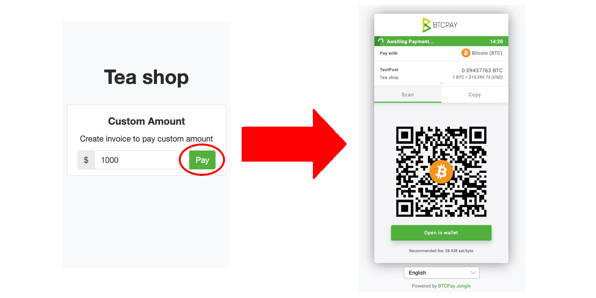 BTCPay Server Store